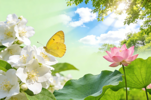 kotlin 我应用使用的权限申请介绍