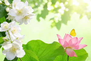 kotlin获取设备的公网IP